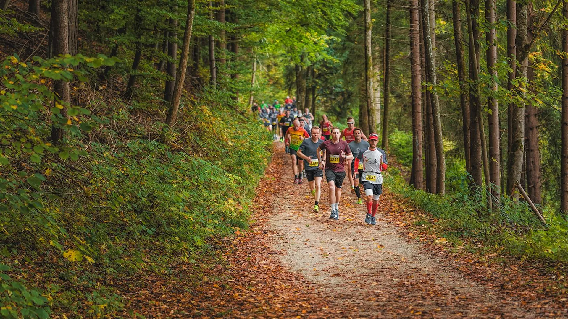 Int. Schwarzwald-Marathon