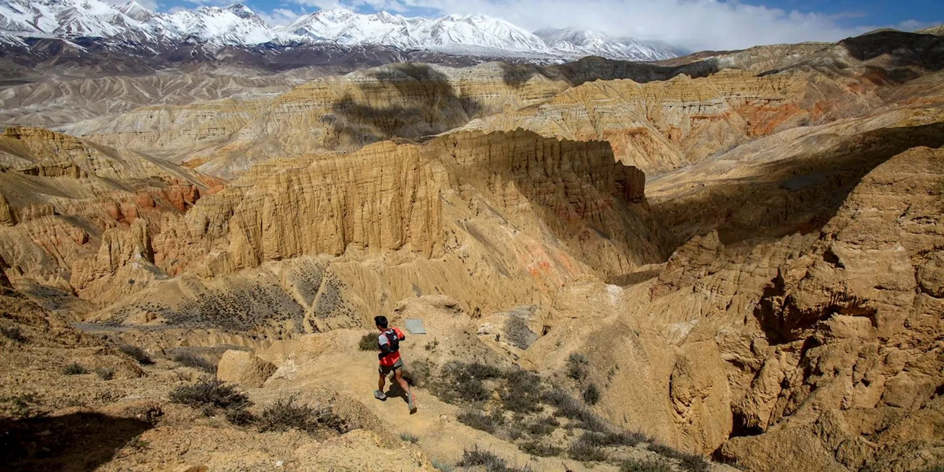 Image of Mustang Trail Race